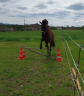 Melissa de Cras, PP islandaise 3 ans