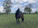 TROTTEUR FRANCAIS 19 ANS 