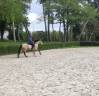 PFS - 4 ans - 1m40
