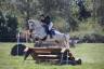 Poney D hongre de 6 ans