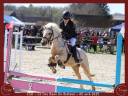 Poney hongre 4 ans B