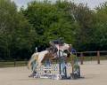 JUMENT PIE 5 ANS EXTRA AMATEUR