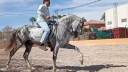 Pure Race Espagnole 10 ans entier 