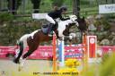 Hongre 8 ans - SF - CSO - Helloboy Des Beaux