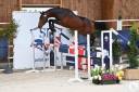 SF 6 ans fils de Cornet Obolensky