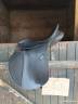 selle wintec 250
