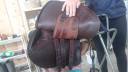 Selle forestier 
