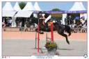 Jument selle français 9 ans par KANNAN