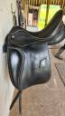 ZALDI DRESSAGE 17'5 MILENIUM