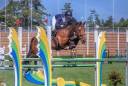 A vendre jument 11 ans (I'm Special de Muze x Orlando)