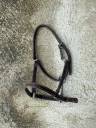 Licol en cuir 