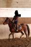 Jolie trotteuse polyvalente à vendre