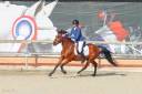 Poney D, 14 ans, CSO, P Élite 