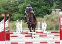 Prix Imbattable:Killer de Brixey, Hongre 9 ans, 130 cm