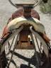 Selle western 