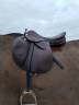 Selle Prestige 
