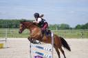 Poney D à CONFIER
