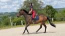 A VENDRE cheval de loisir, balades