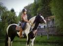 Jument Irish cob 9 ans
