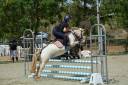 Poney CSO