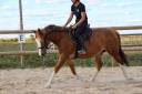 Julisca du Touney PFS 6 ans