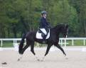 Jument de dressage 