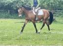 Ponette de 6 ans 