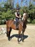 Jument super pour  Amateur