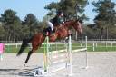 Jument 5ans Opium x Baloubet