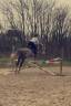 Poney sport 