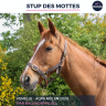 STUP DES MOTTES - AQPS - 19 ANS