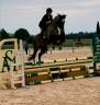 Cheval de 4ans à vendre 