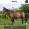 STANZ - PS - 17 ANS