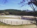 Propriété élevage canin/équin et pension chevaux/chiens