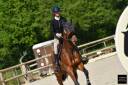 Cheval de cso 