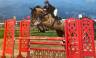 A vendre Epsom - Hongre de 11 ans