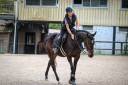 vente cheval loisir