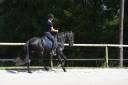 Pure Race Espagnole 