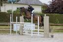 Hongre 8 ans CSO 
