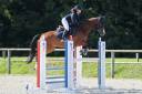 Cheval amateur 
