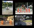 Monitrice d’équitation indépendante 
