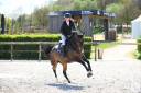 Cheval 5ans 