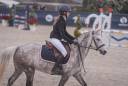 Poney de sport à vendre ou à louer