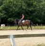 Jolie jument par Quaterbold