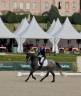 Très jolie jument KWPN de 7 ans Dressage 