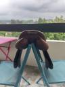 Selle de saut Butet 17,5