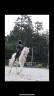 Te Quiero de Kervez Cheval 18 ans