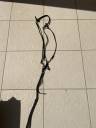 Gogue noir taille cheval