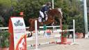 poney à prendre en demi-pension 