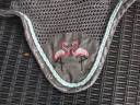 Bonnet cheval Showmaster gris